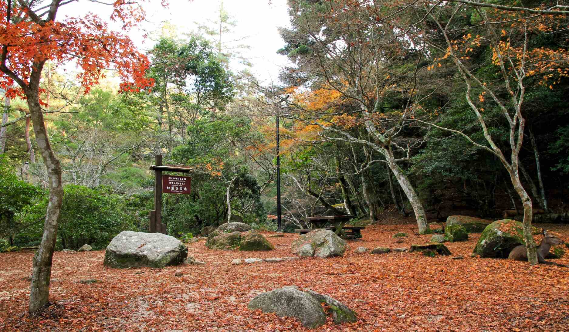 park_Momijidani_japon