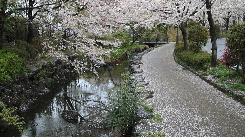 Le parc Shinsuin au printemps 