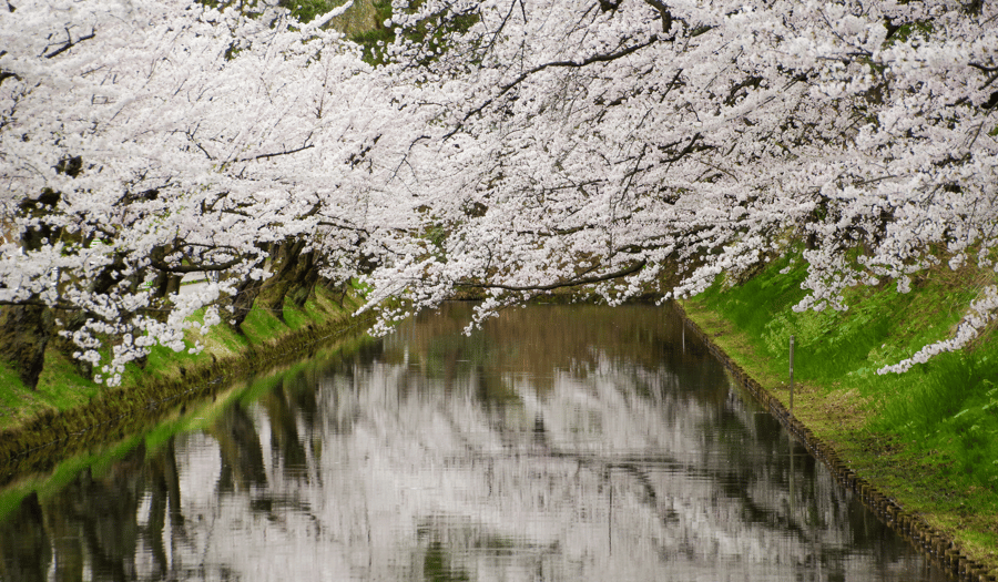 parc du château de Hirosaki