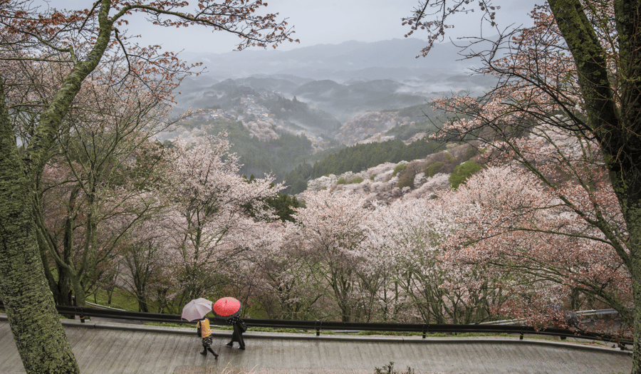 Mont Yoshino