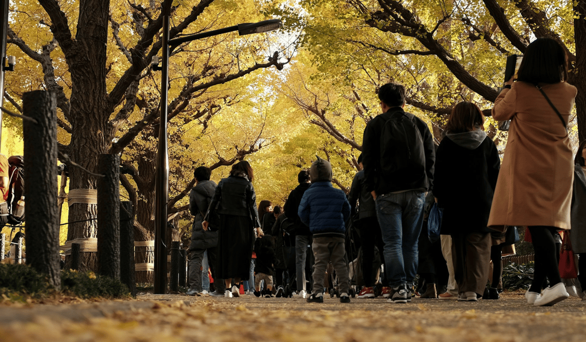 Les feuillages d’automne autour de Tokyo