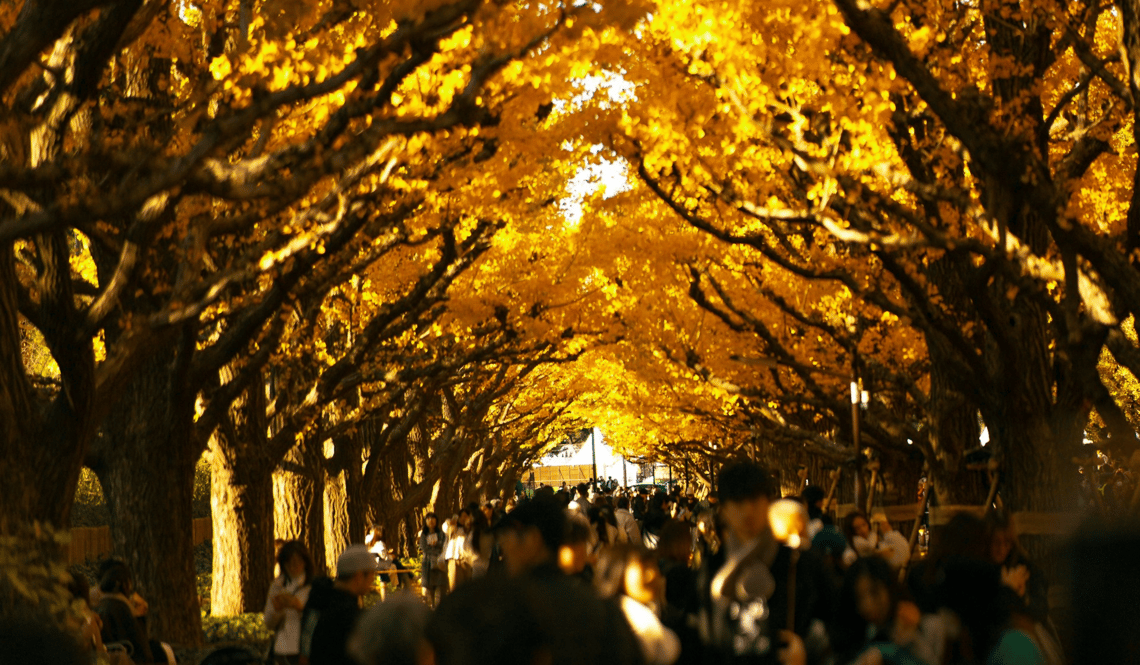 La magie des feuillages d’automne au Japon