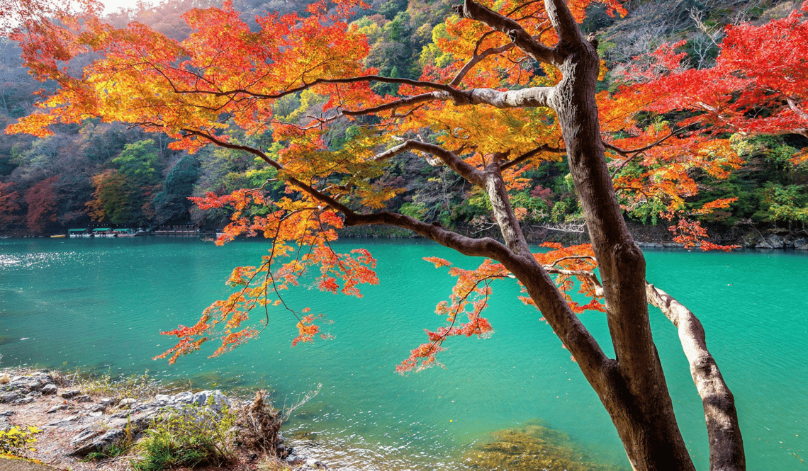 Vivre l’automne au centre du Japon