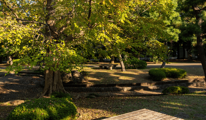 jardin-kiyosumi-tokyo