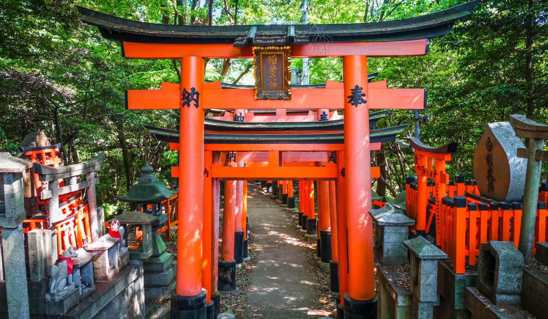 fushimi-inari-torii-japan